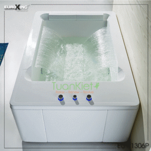 EuroKing EU-1306 Plus