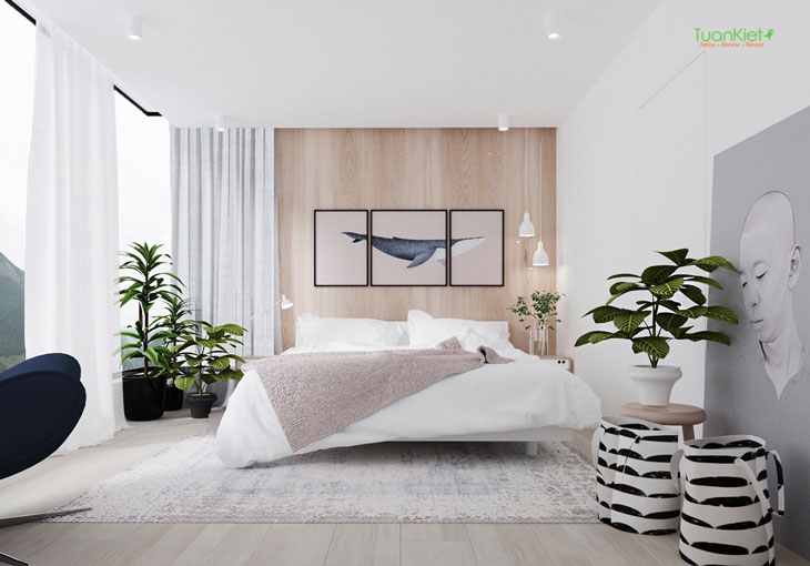 Các thiết kế nội thất phòng ngủ thanh lịch và đơn giản