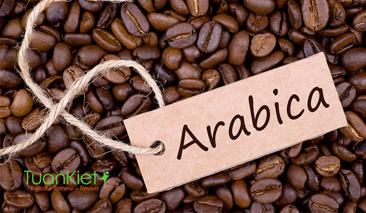 Cafe Arabica nổi tiếng bởi hương vị cuốn hút