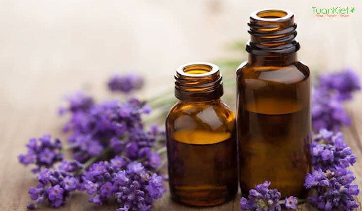 Lavender có rất nhiều công dụng hữu ích trong đời sống. 