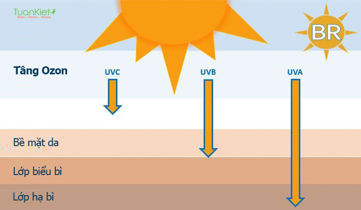 Tia UV gây hại cho da